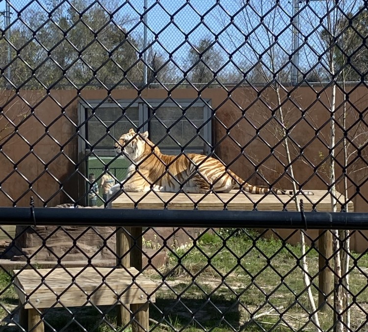 Alabama Gulf Coast Zoo (Gulf&nbspShores,&nbspAL)